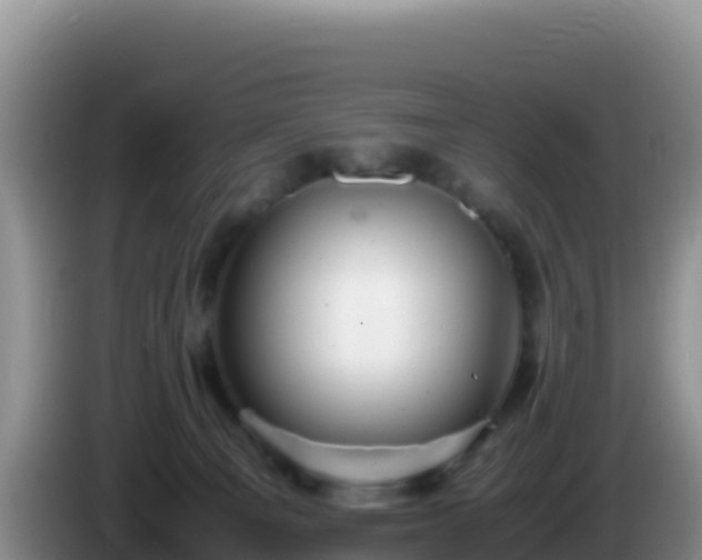 X0000086260129200704051311