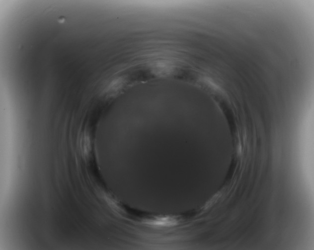 X0000086260130200704051311