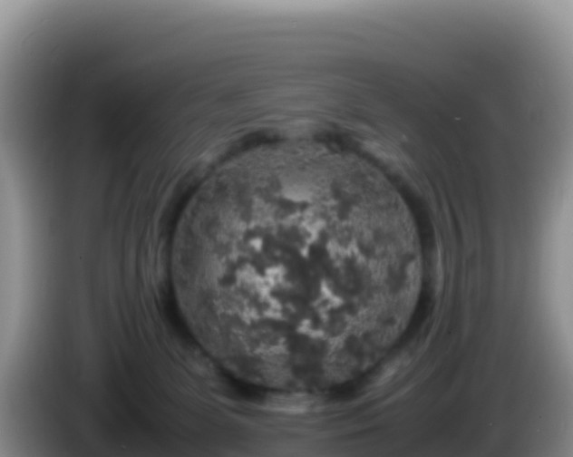 X0000086260131200704051311