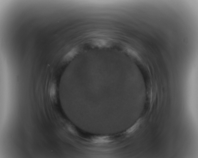 X0000086260132200704051311