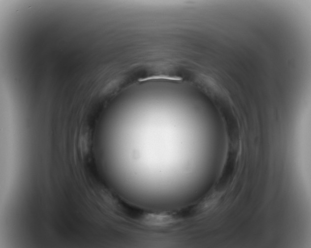 X0000086260133200704051311