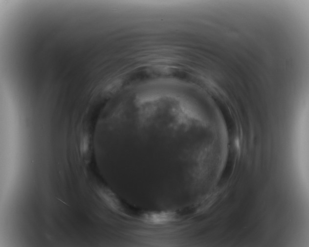 X0000086260134200704051310