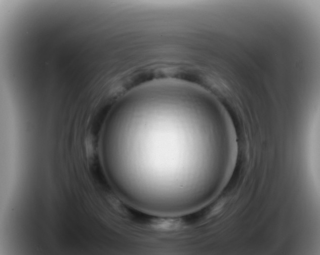 X0000086260135200704051310