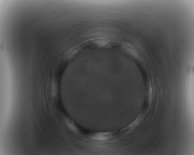 X0000086260136200704051310