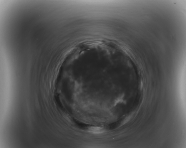 X0000086260139200704051310