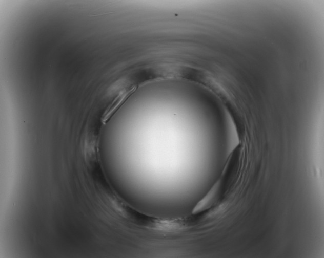 X0000086260141200704051310