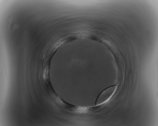 X0000086260144200704051310