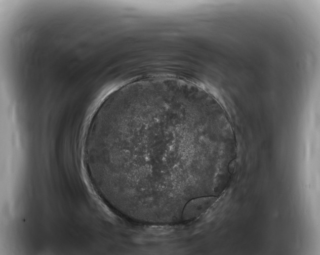 X0000086260145200704051310