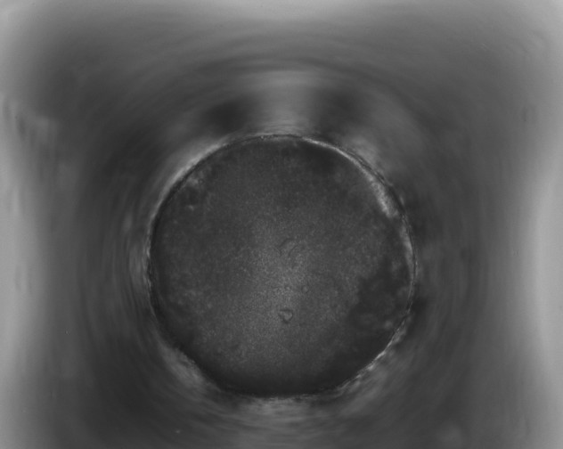 X0000086260146200704051310