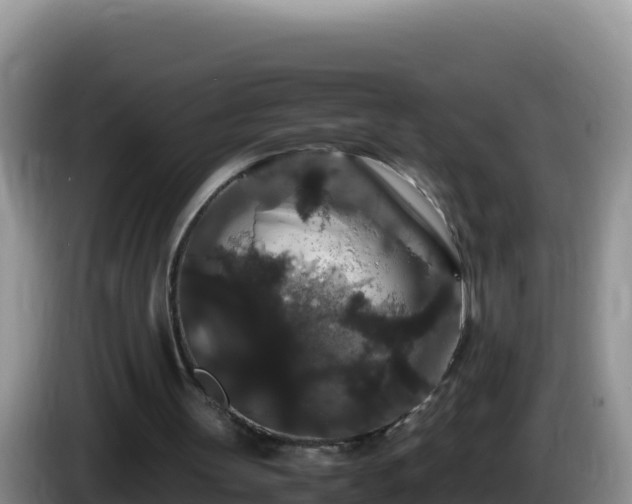 X0000086260147200704051310