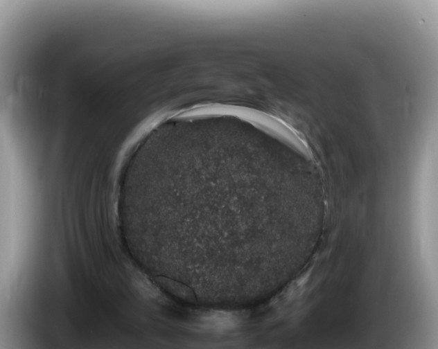 X0000086260149200704051310