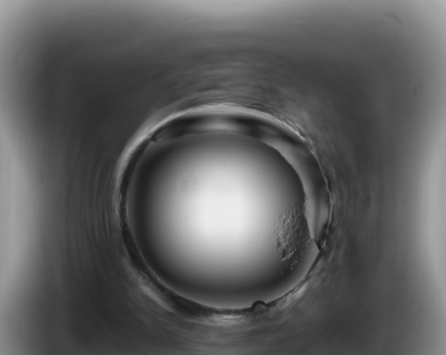 X0000086260150200704051310