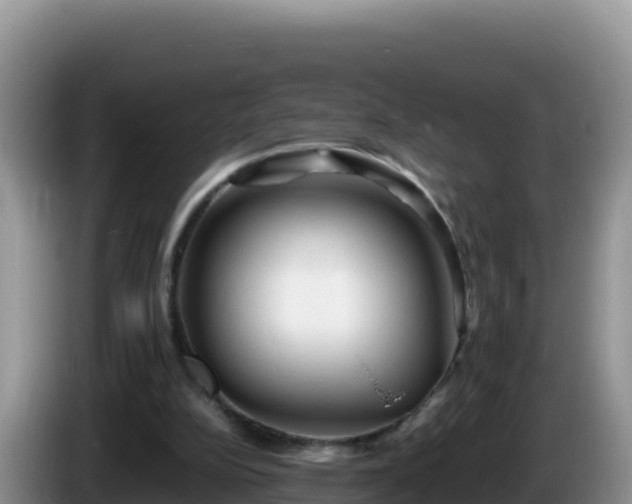 X0000086260152200704051310