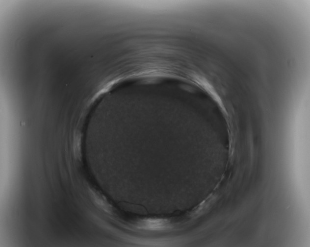 X0000086260154200704051310