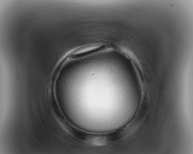 X0000086260155200704051310