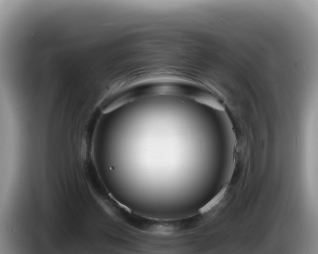 X0000086260158200704051310