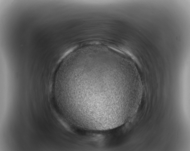 X0000086260159200704051310