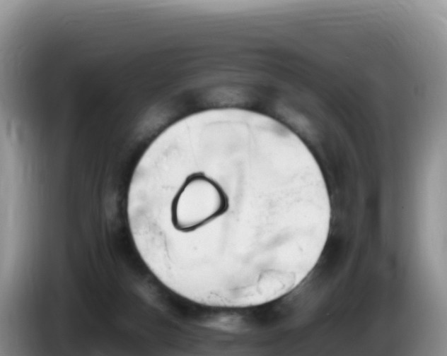 X0000086260162200704051310