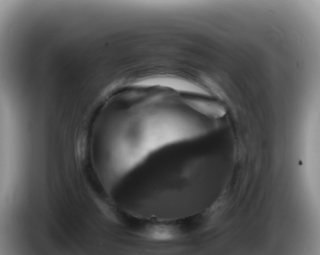 X0000086260163200704051310