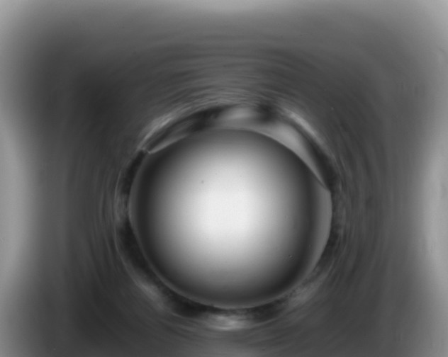 X0000086260164200704051310