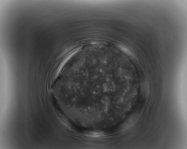 X0000086260165200704051310