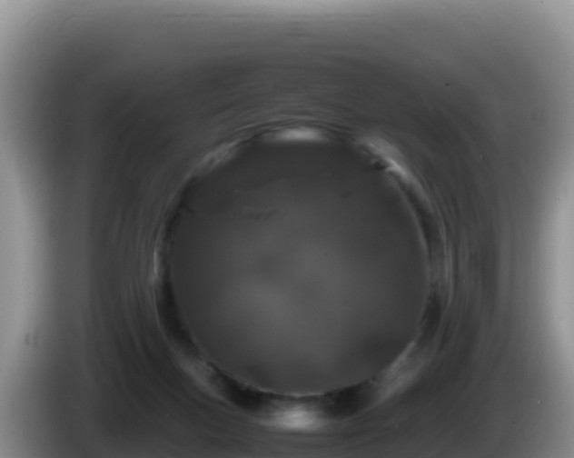 X0000086260167200704051310