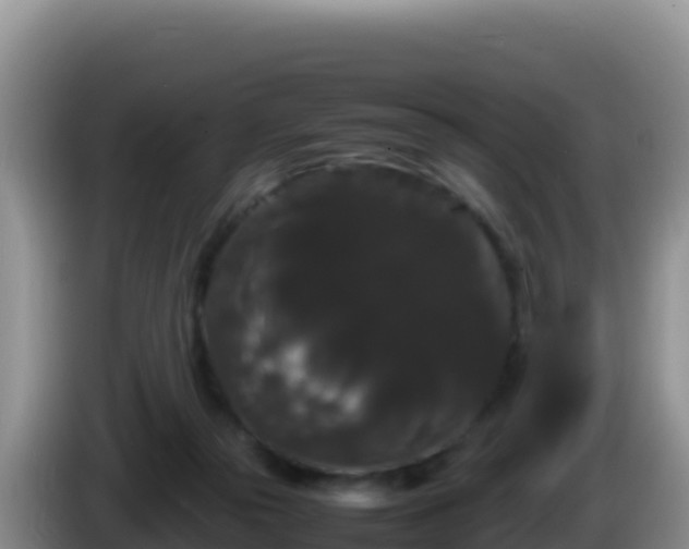 X0000086260169200704051310