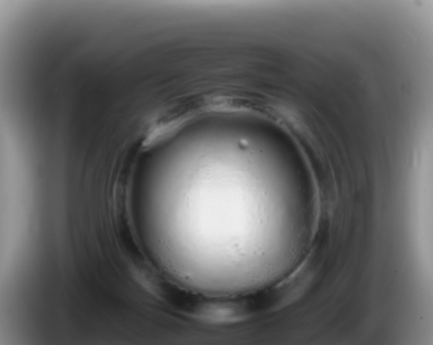 X0000086260171200704051310