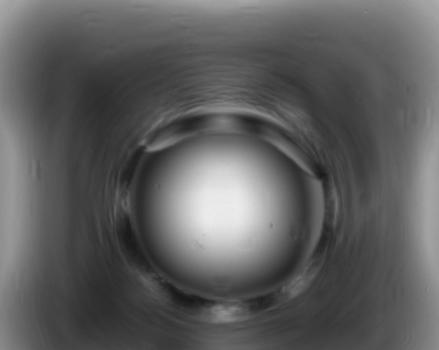 X0000086260172200704051310