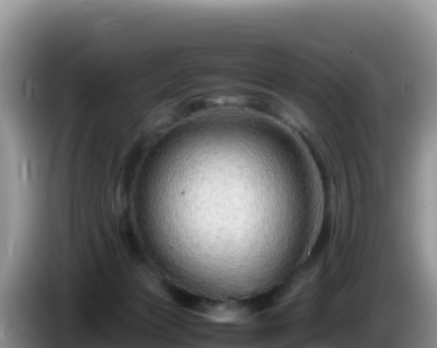X0000086260173200704051310