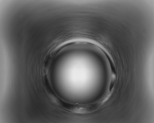 X0000086260174200704051310