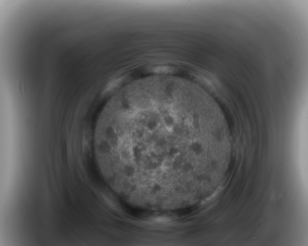 X0000086260175200704051310