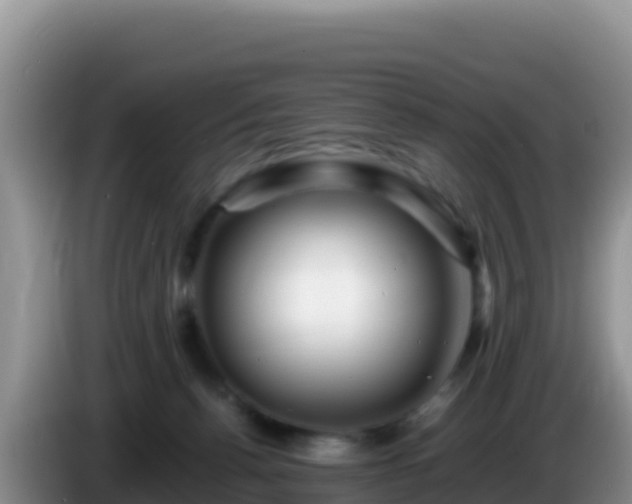 X0000086260176200704051310