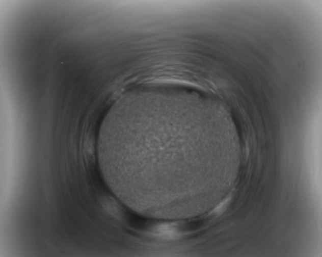 X0000086260178200704051310