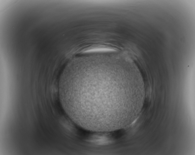 X0000086260179200704051310