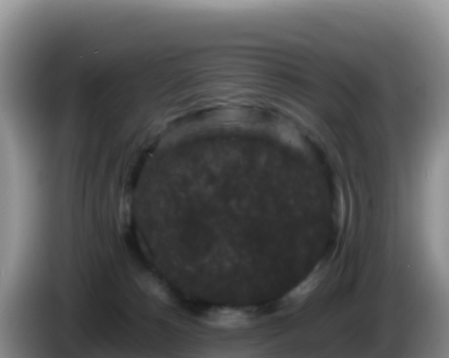 X0000086260180200704051310