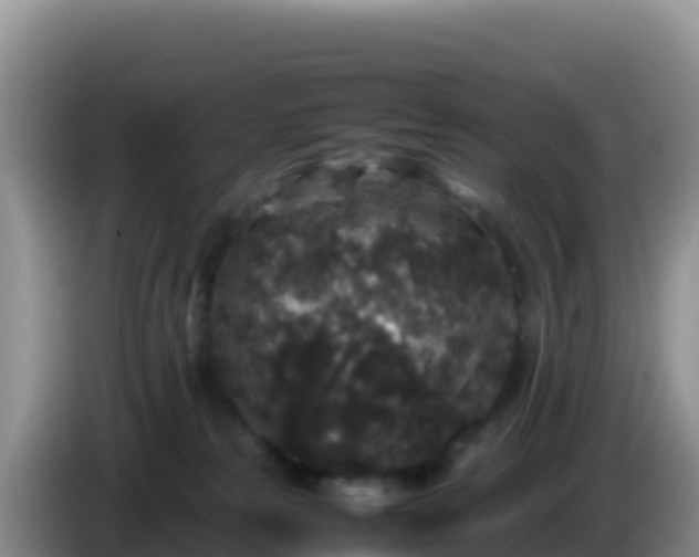 X0000086260181200704051310