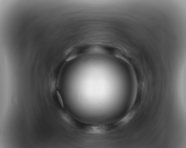 X0000086260188200704051310
