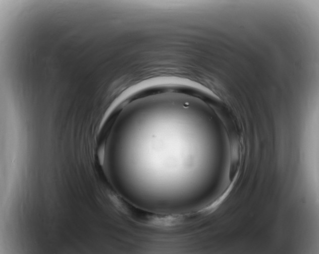 X0000086260190200704051310