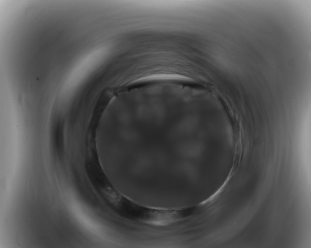 X0000086260191200704051310