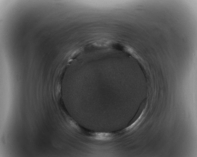 X0000086260192200704051310