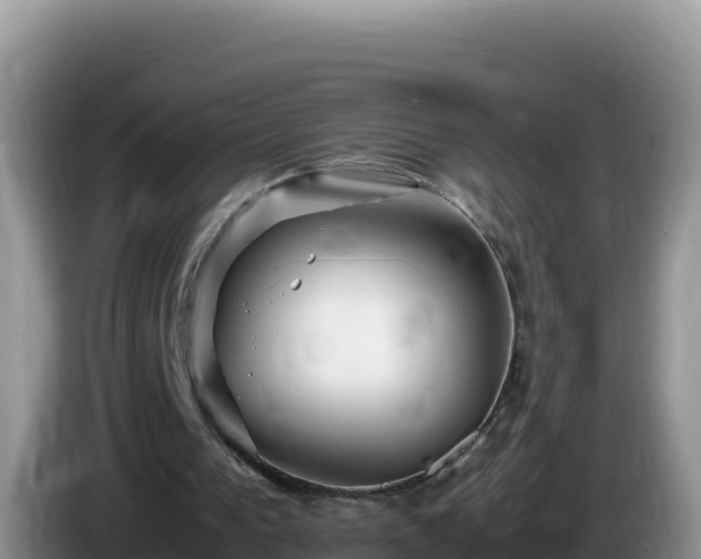 X0000086260193200704051310