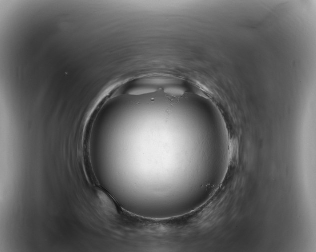 X0000086260195200704051310