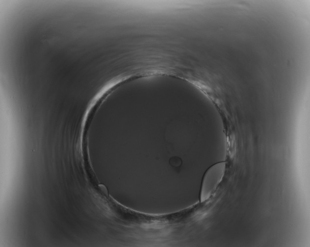 X0000086260196200704051310