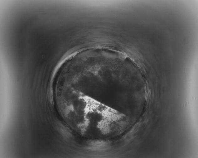 X0000086260198200704051310
