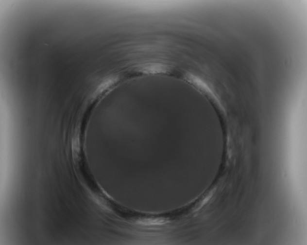 X0000086260202200704051310