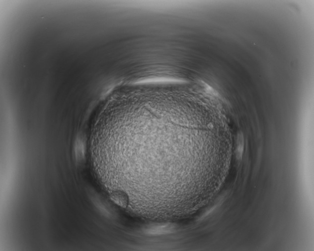 X0000086260206200704051309
