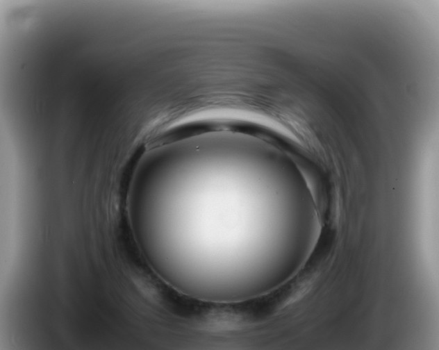 X0000086260207200704051309