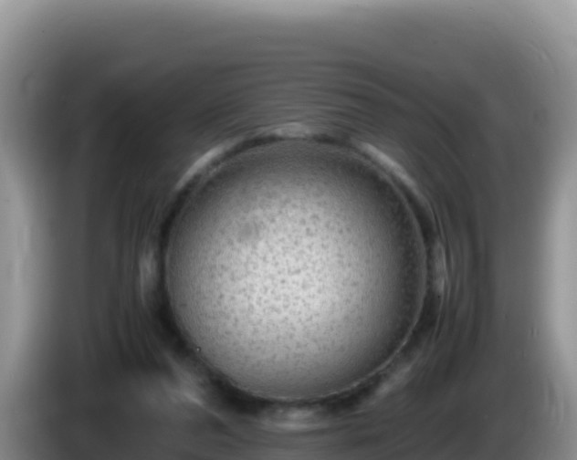 X0000086260208200704051309