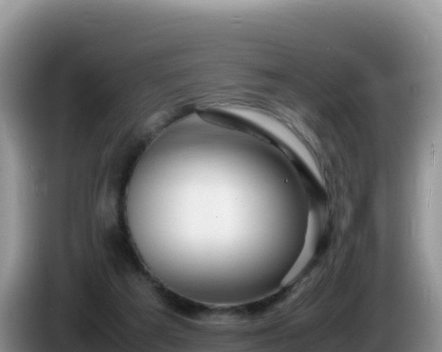X0000086260209200704051309